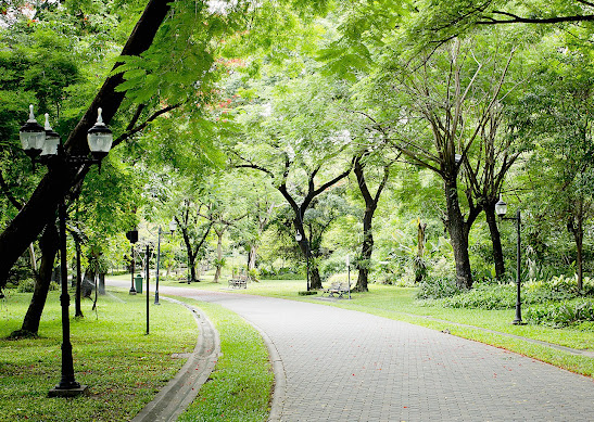 a brick walkway in a park surrounded by trees