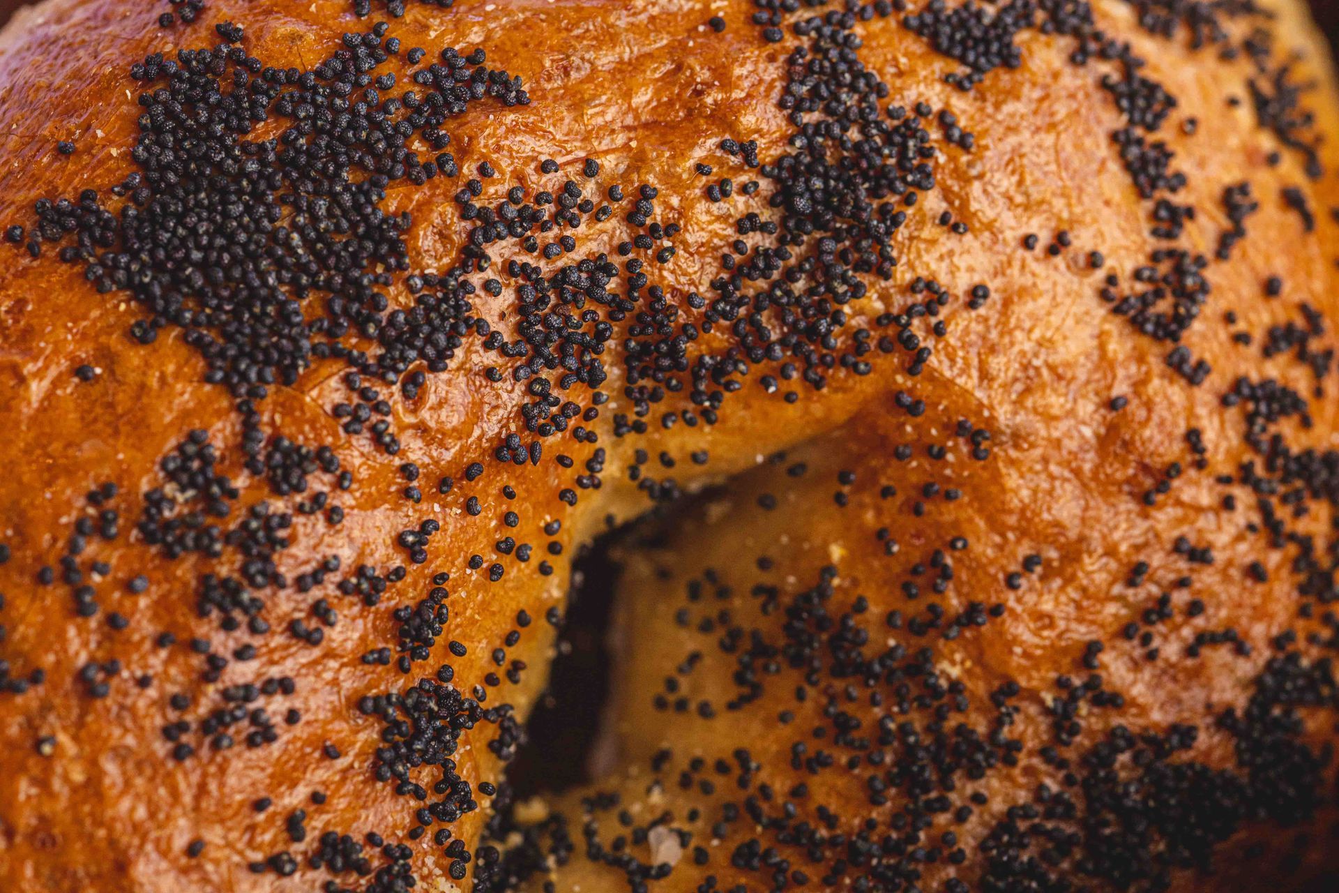 Gallery Bagel Bros & Co.