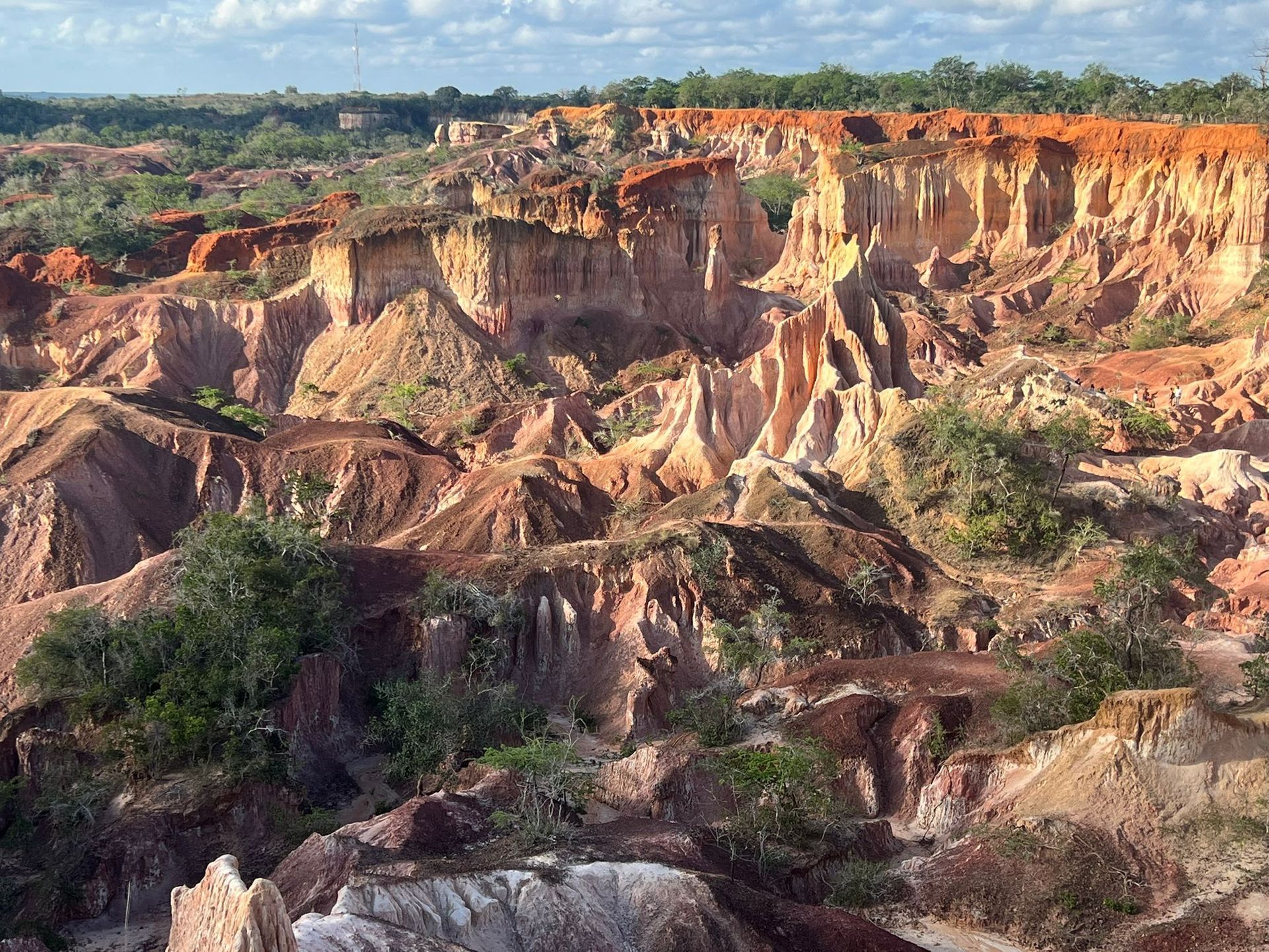 Orange eroded cliffs and rugged gullies under a blue sky, with sparse green shrubs.