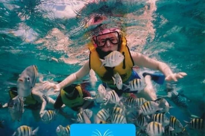 Snorkling experience