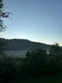 Misty forested hill at dawn under a clear blue sky, with dark trees in the foreground