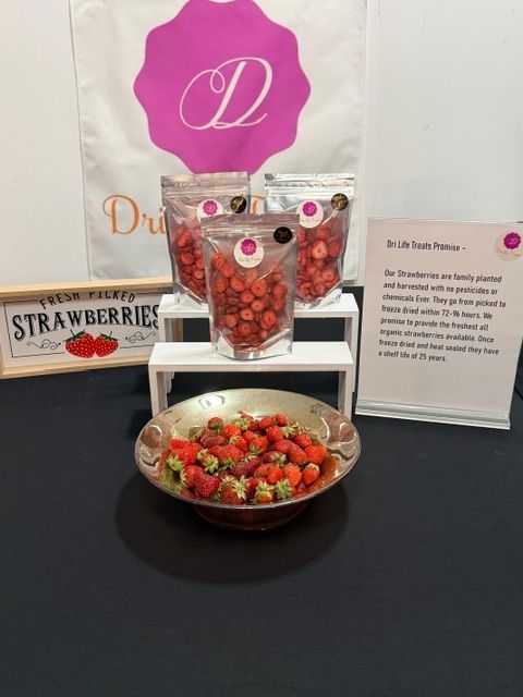 Freeze dried strawberries straight from the garden