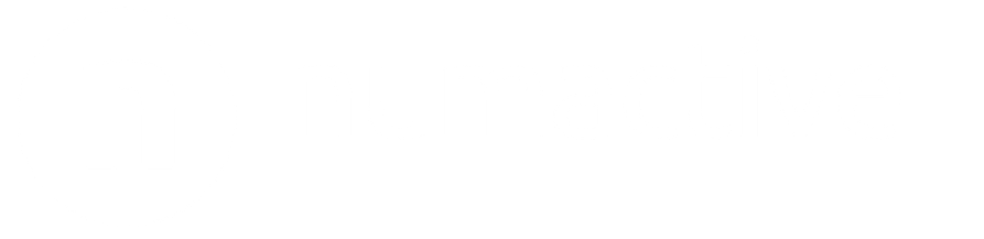 Numactive logo with the text 
