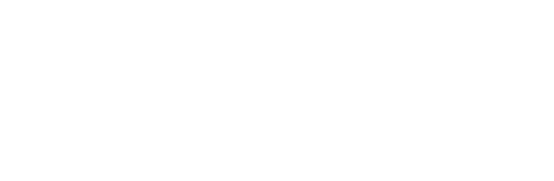 Rhino Financial Solutions Logo