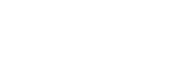 Rhino Financial Solutions Logo
