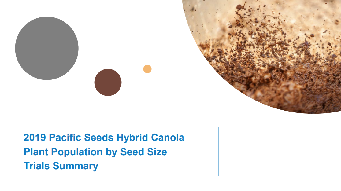 Title slide with three colored circles and a close-up of canola seeds, labeled “2019 Pacific Seeds Hybrid Canola Plant Population by Seed Size Trials Summary”