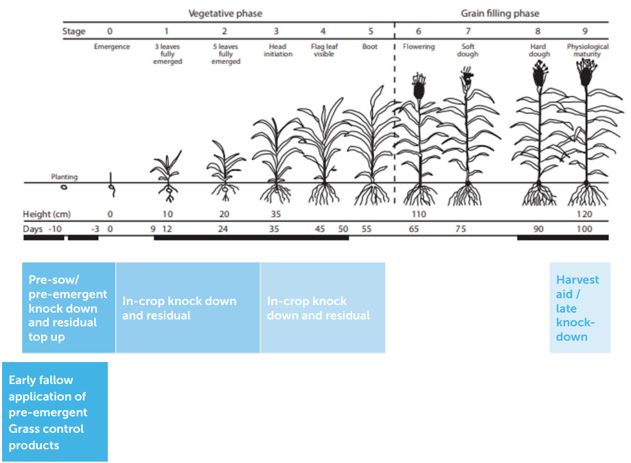 Plant growth timeline showing stages from seeding to flowering and harvest, with blue boxes for pre-emergent, early, and later control steps