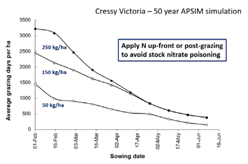 Line graph of average seasonal days per ha vs sowing date, showing lower values with more N applied; note on stock nitrite poisoning.