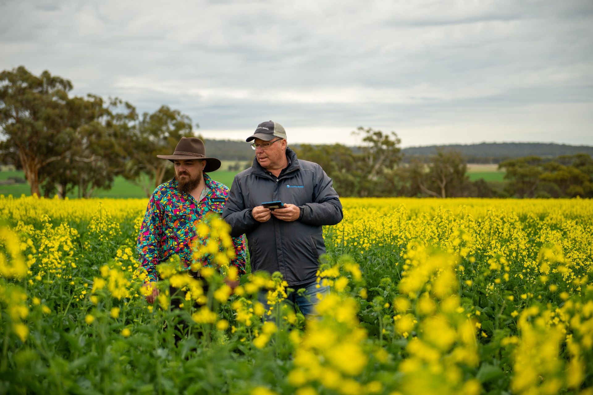 Two people walking through a yellow flower field under a cloudy sky