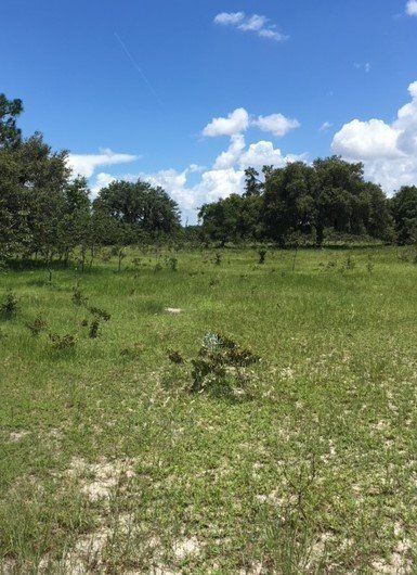 backbone conservation bank