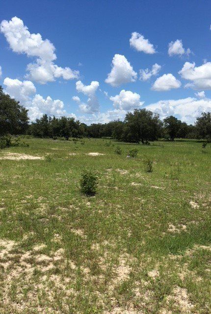 backbone conservation bank