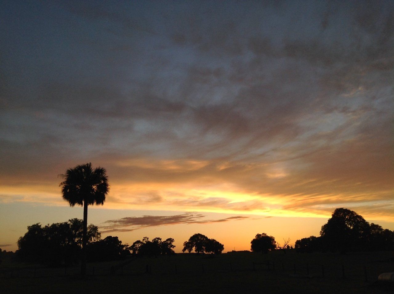 Boarshead Ranch Mitigation Bank