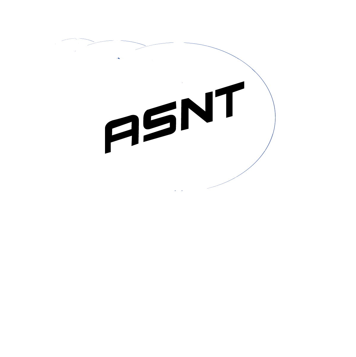 A black and white logo for asnt on a white background.