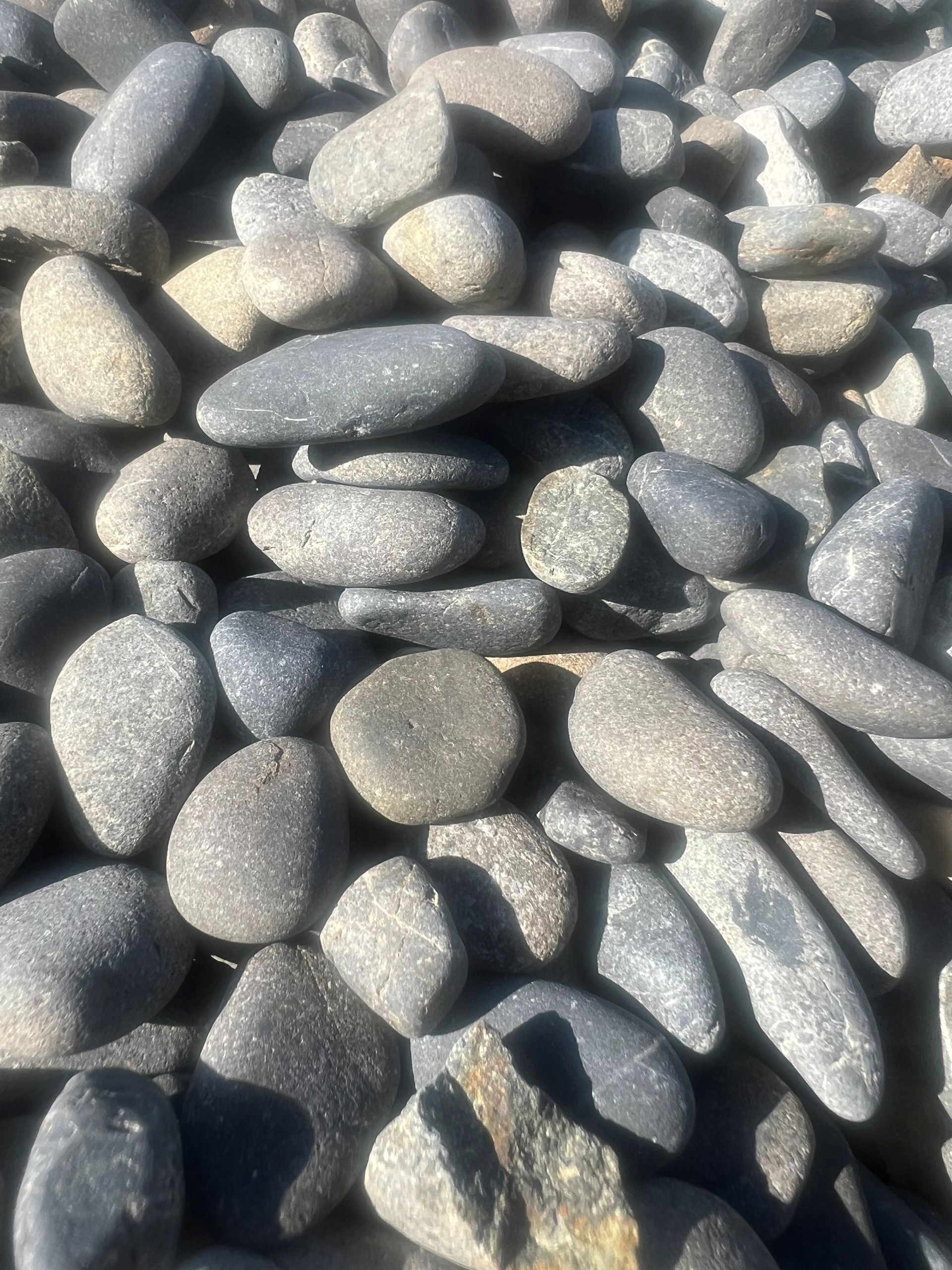 A close up of a pile of sand on a beach.