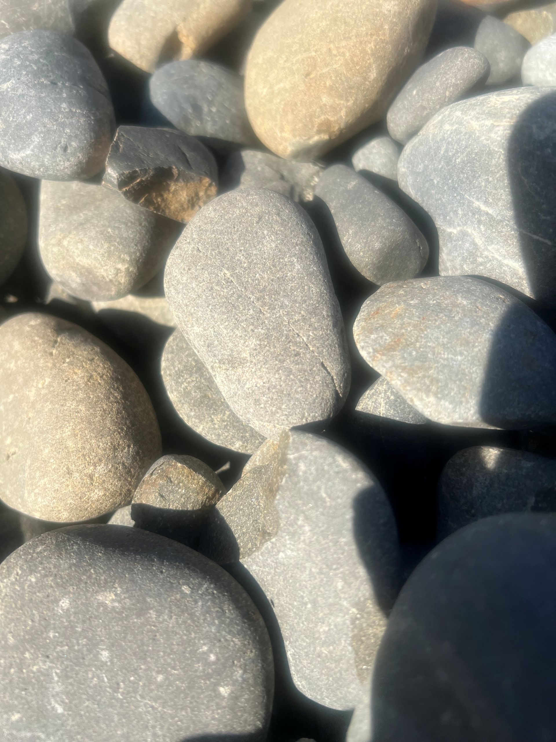 A close up of a pile of sand on a beach.