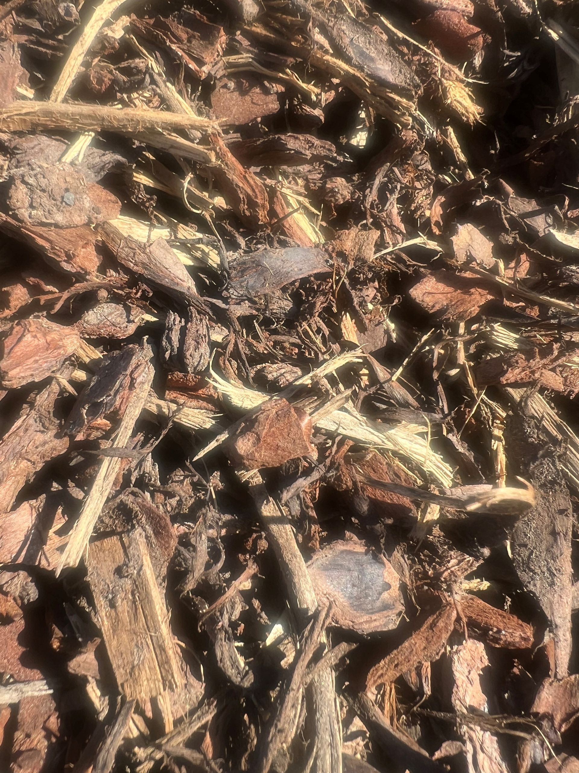 A pile of dirt is sitting on top of a dirt field.