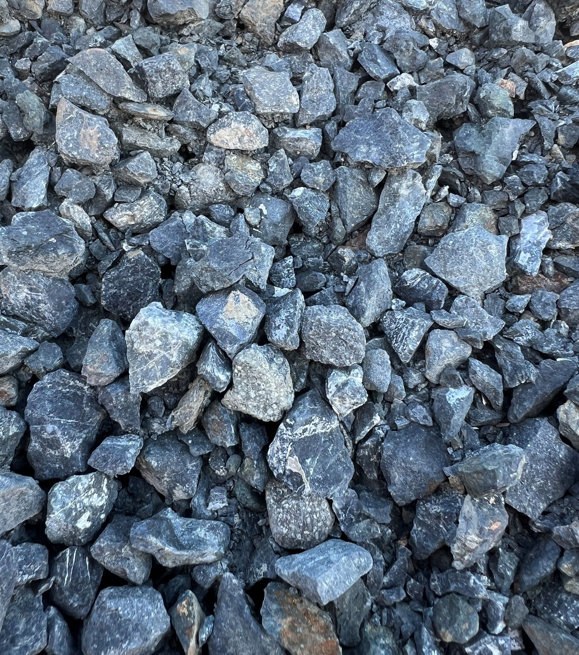 A pile of chopped wood is sitting on the ground.