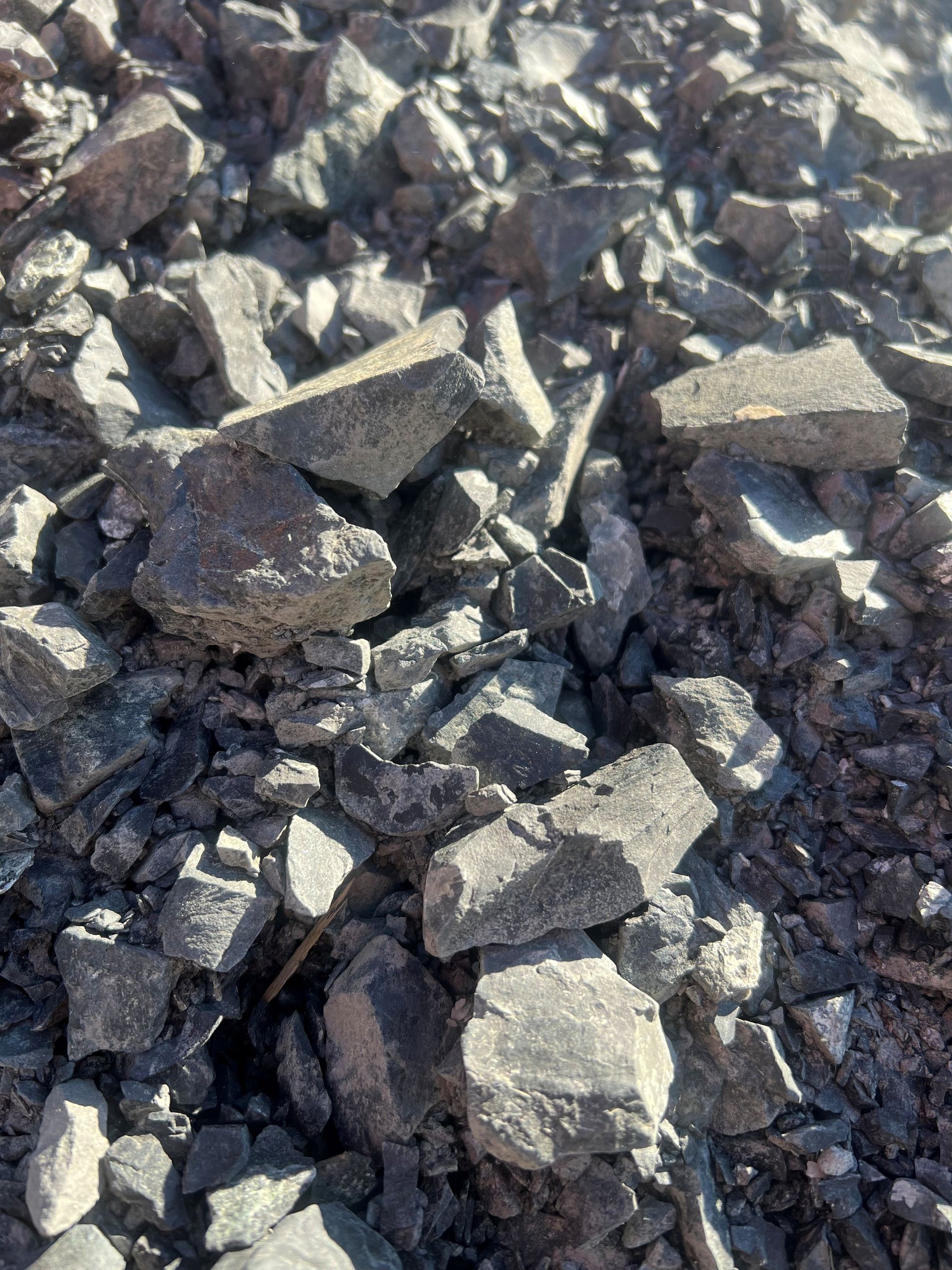 A pile of chopped wood is sitting on the ground.