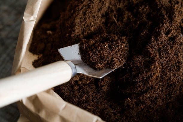 A shovel is sticking out of a bag of dirt.