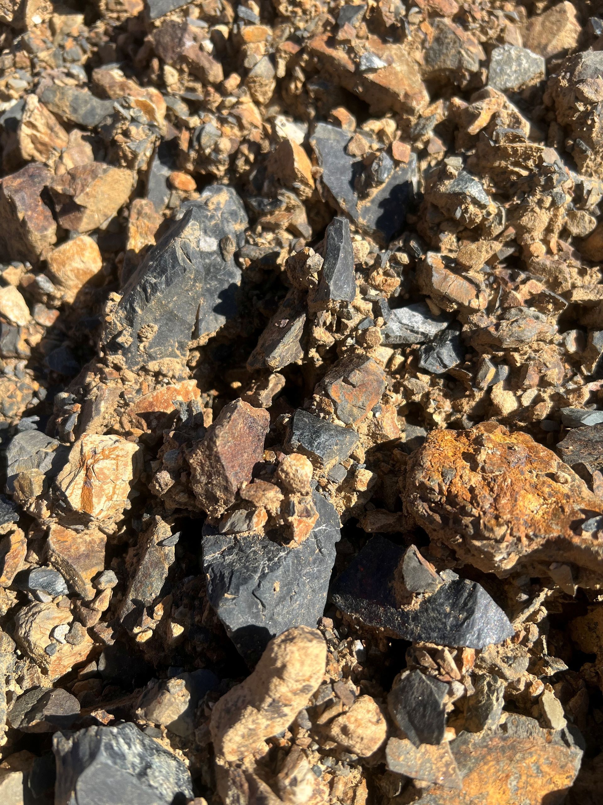 A pile of dirt is sitting on top of a lush green lawn.