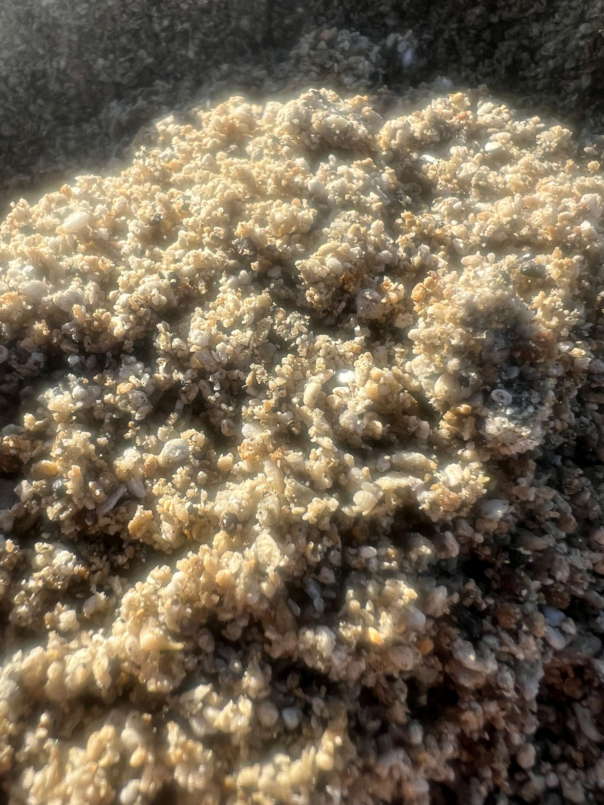 A pile of rocks of different sizes and colors