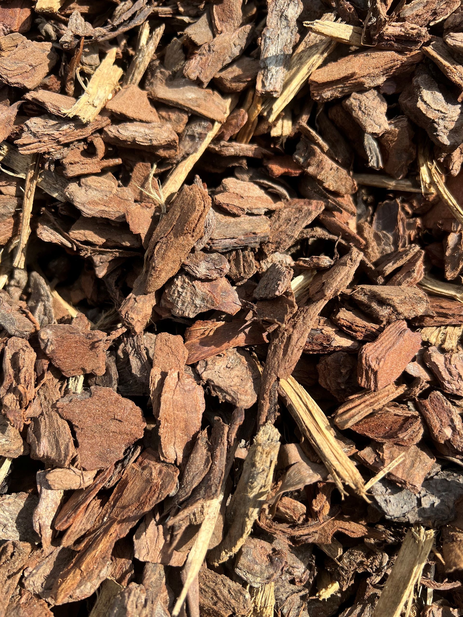 Brown and beige wood mulch, close-up shot.