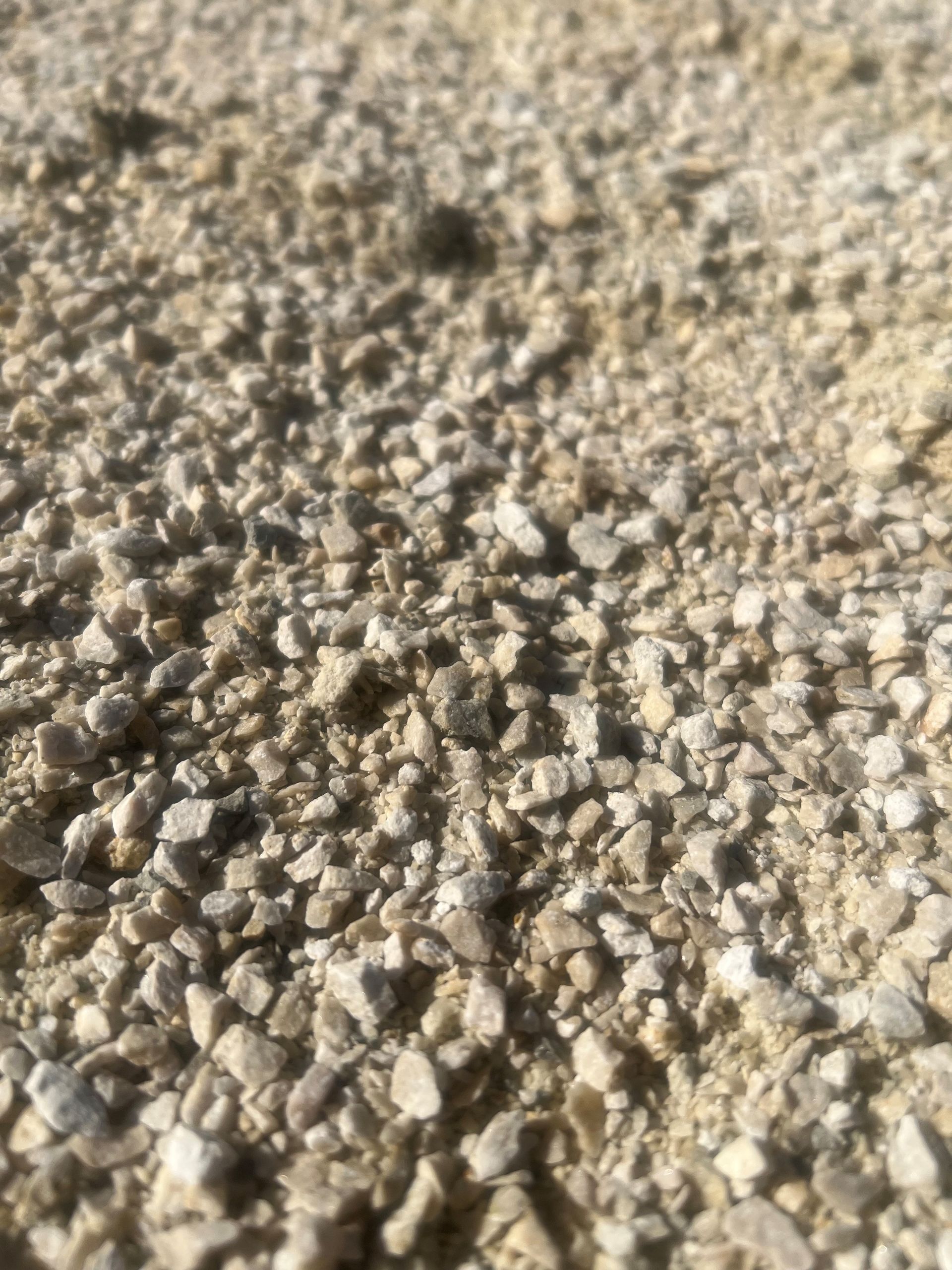 A pile of chopped wood is sitting on the ground.