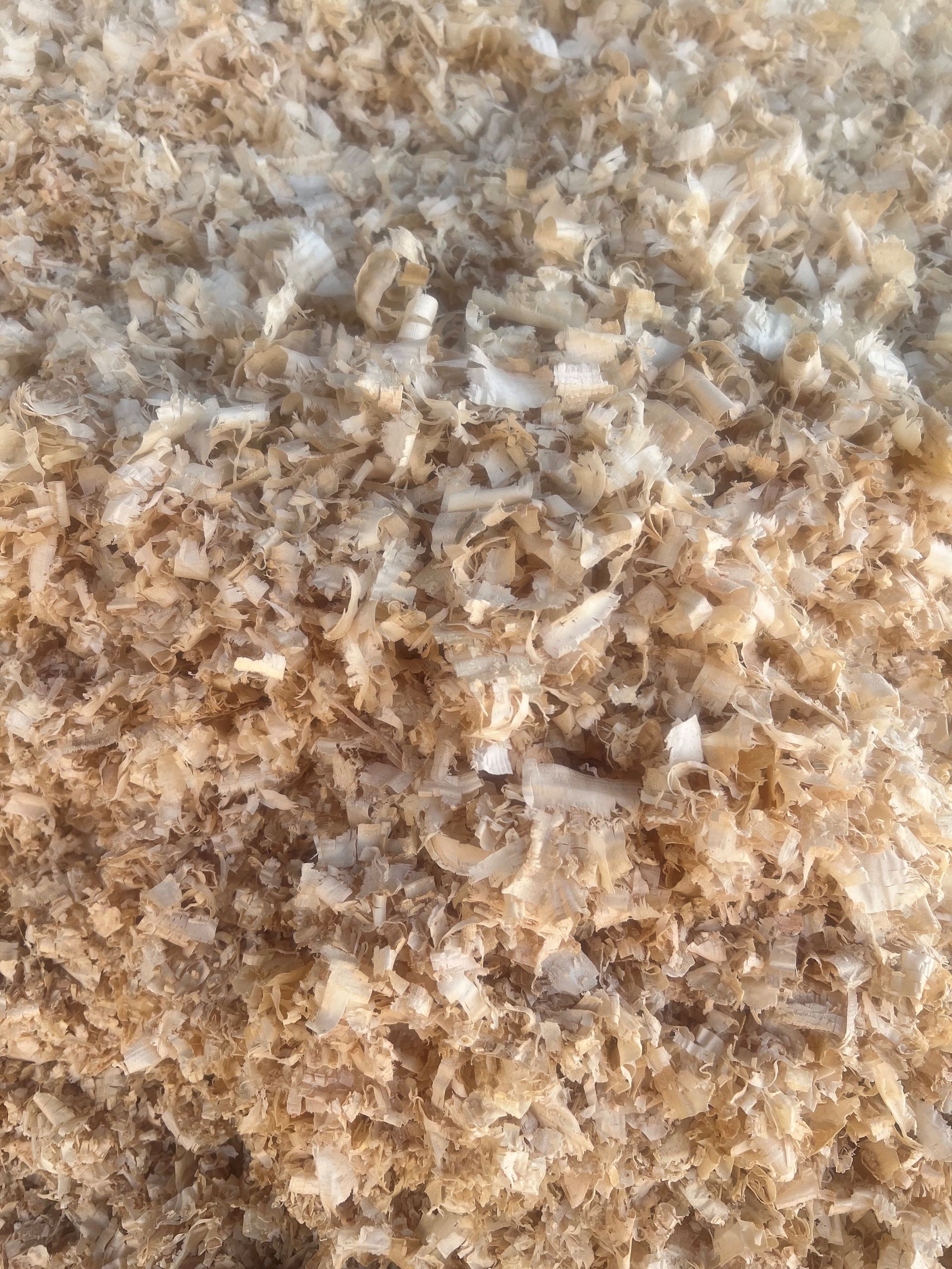 A pile of wood shavings is sitting on a table.