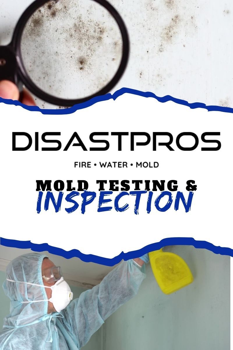 Mold Testing & Inspections Miami