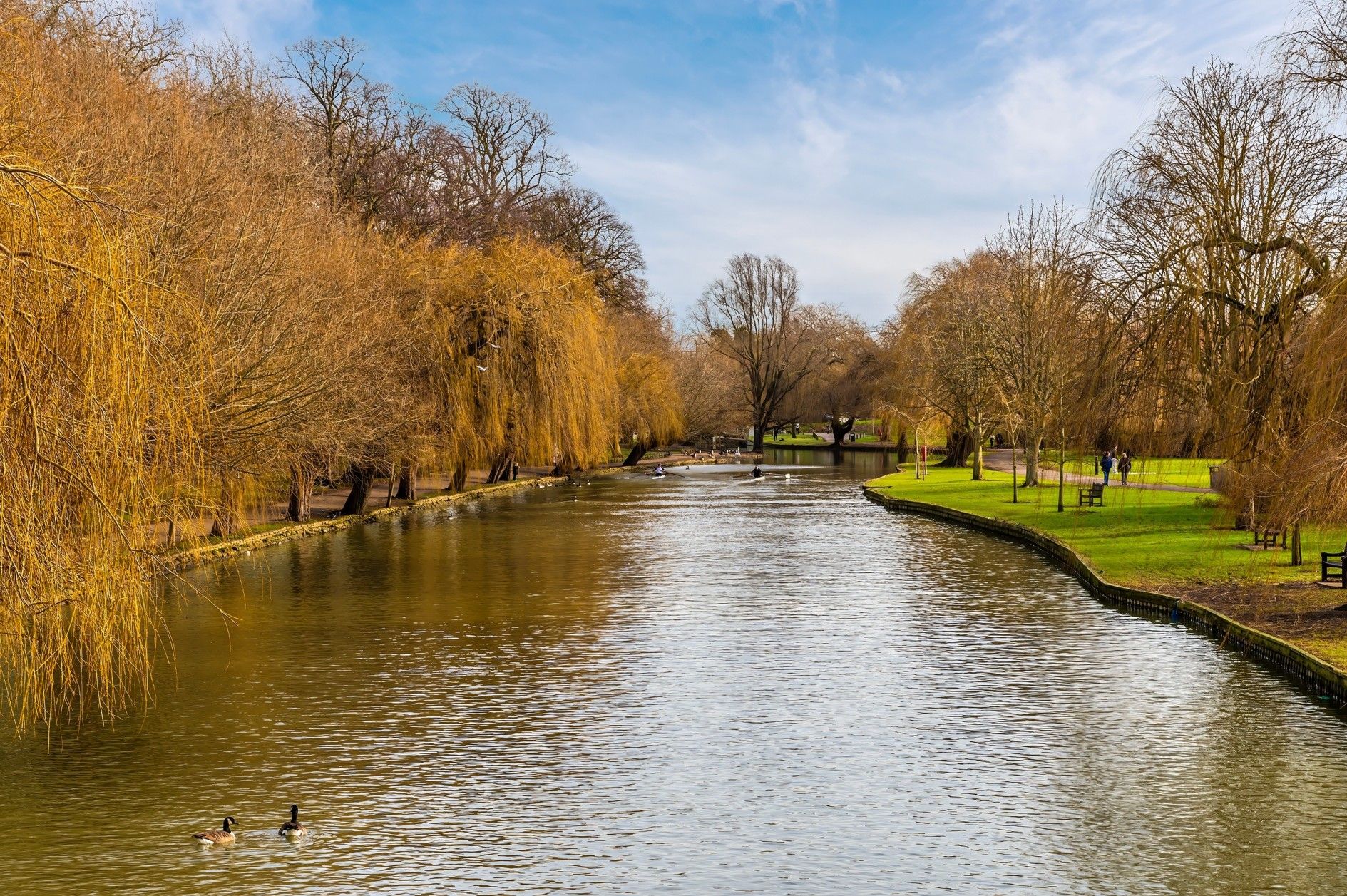 A river flanked by trees with golden autumn leaves, under a blue sky.