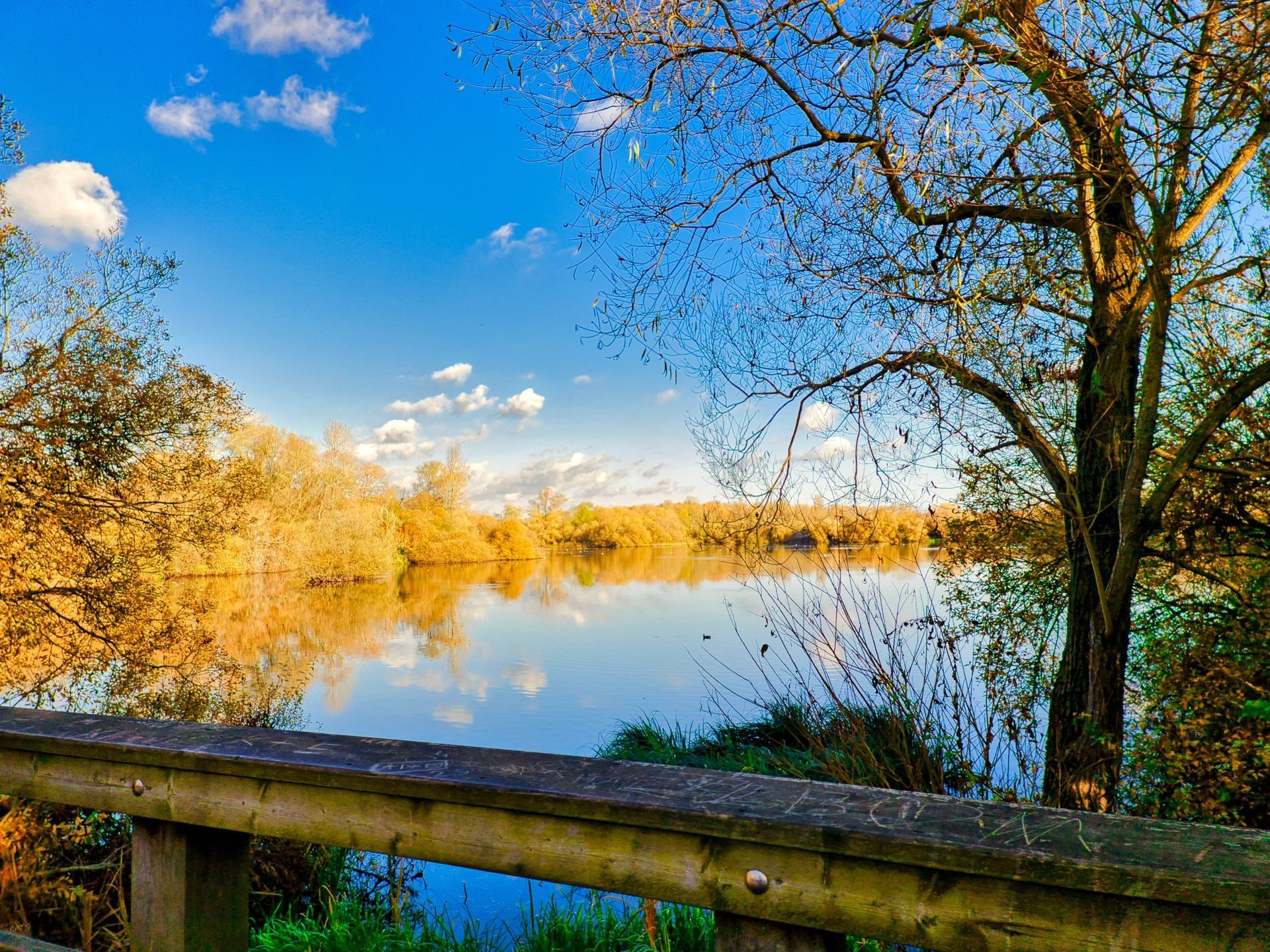 Lake scene: Calm water reflects trees under a blue sky. A wooden railing is in the foreground.