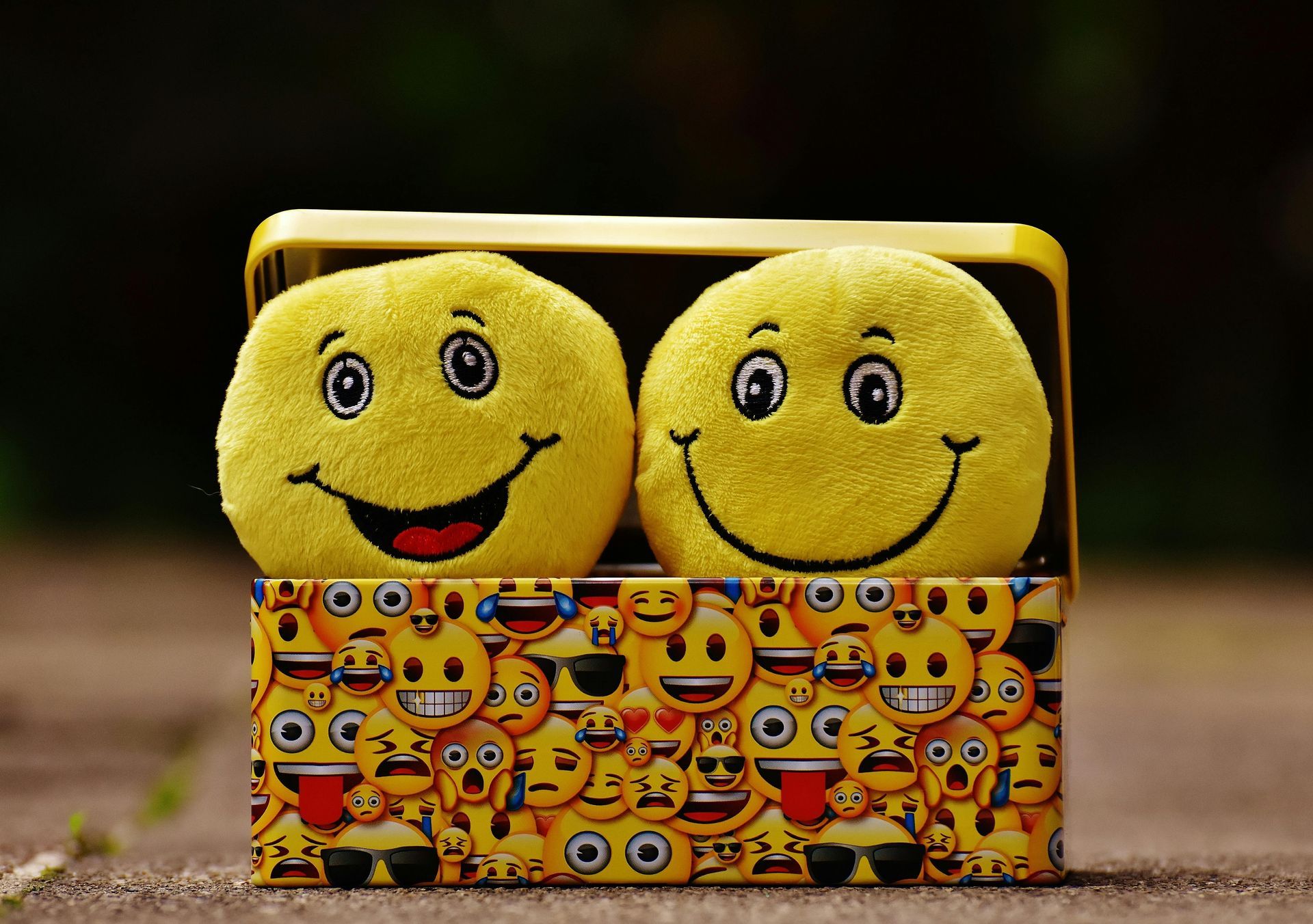 Two stuffed smiley faces are in a box with emojis on it.