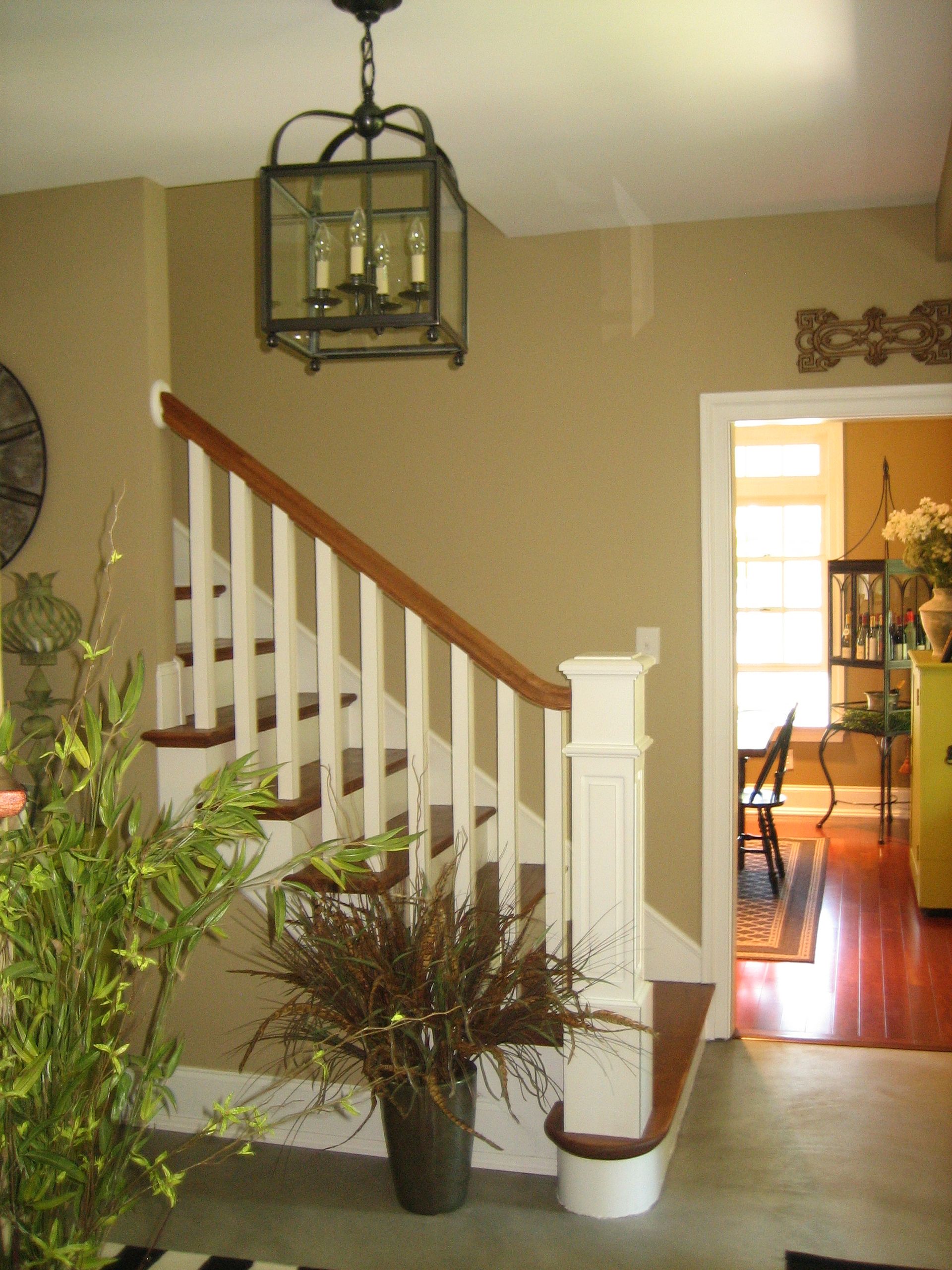 A staircase with a potted plant on the bottom step