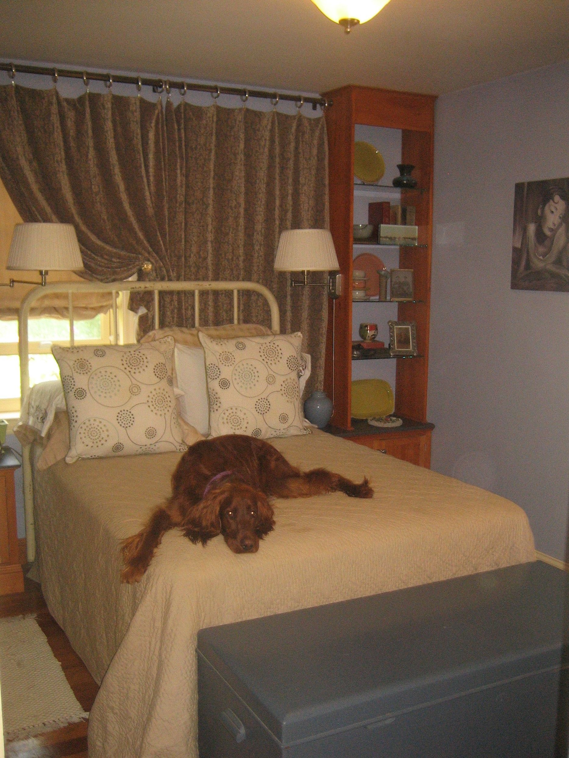 A dog is laying on a bed in a bedroom