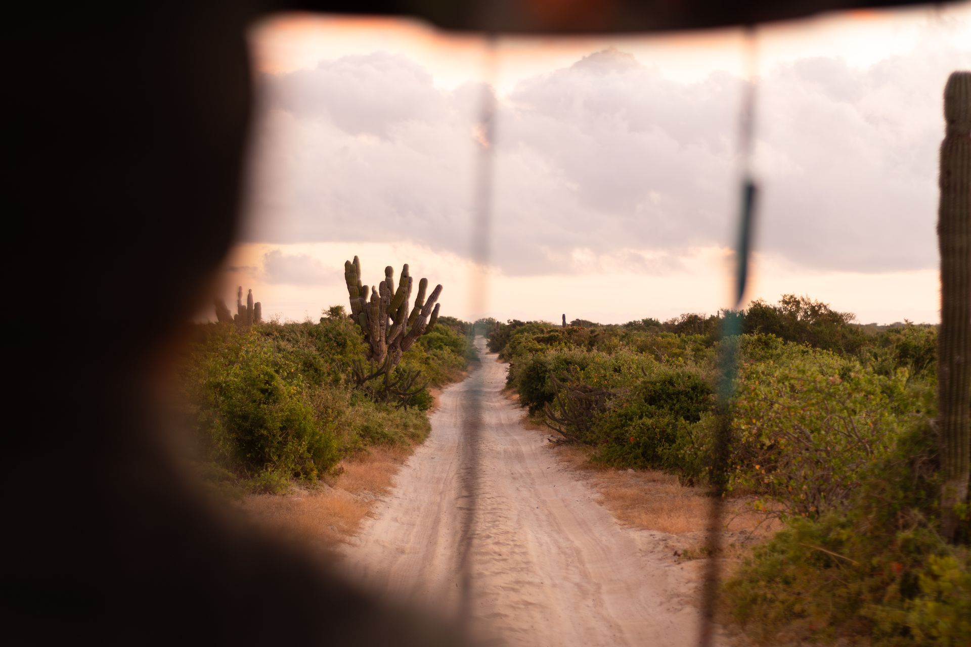 A person is looking through binoculars at a dirt road.