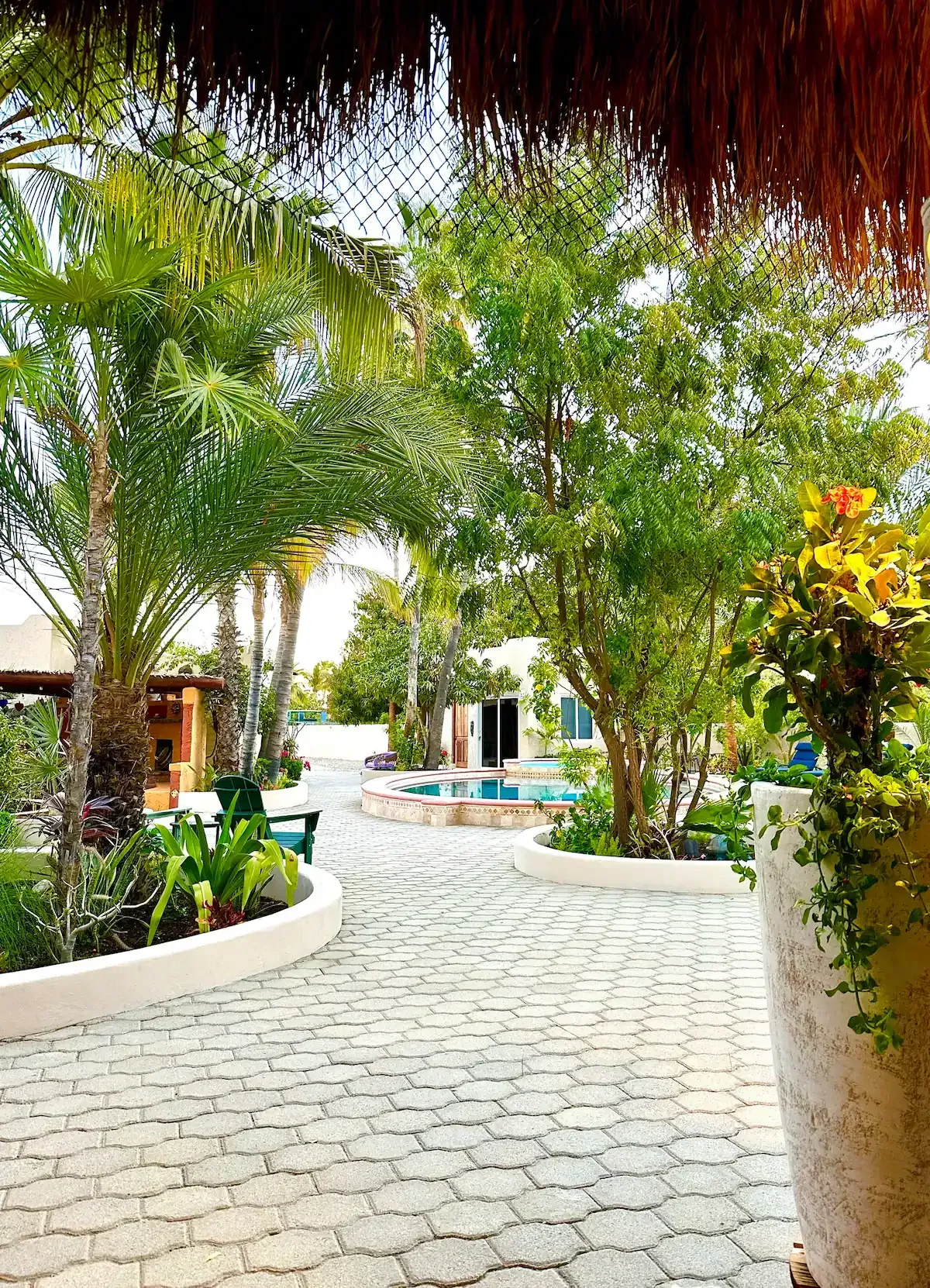 A brick walkway leading to a pool surrounded by palm trees