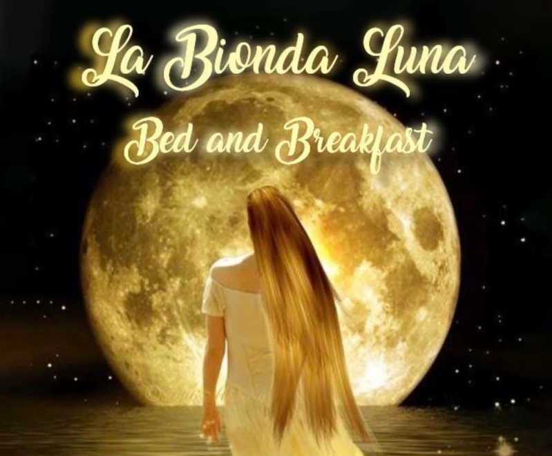 La bionda luna_logo