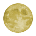 icona logo