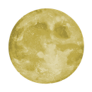 icona logo