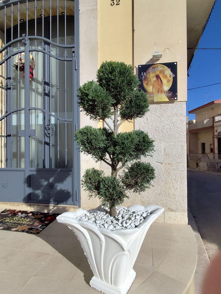 LA BIONDA LUNA BED AND BREAKFAST