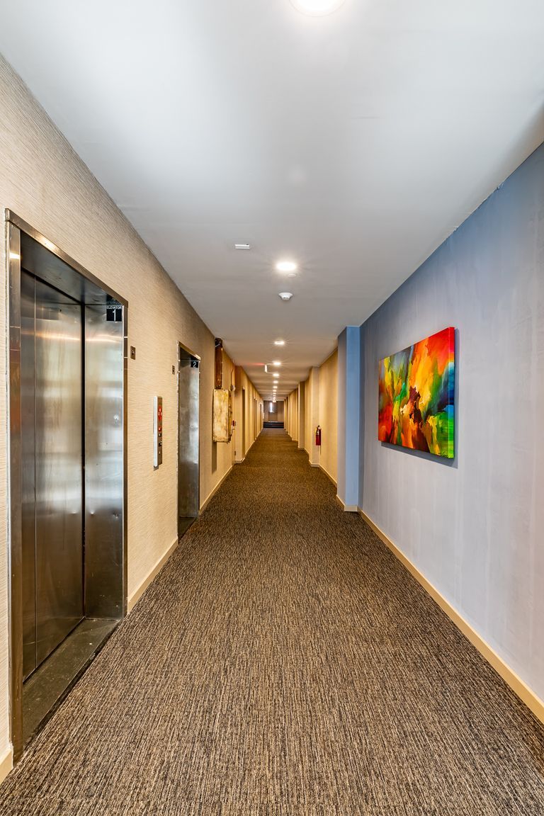 Long, narrow hallway with elevators, textured carpet, and colorful artwork on a blue wall.