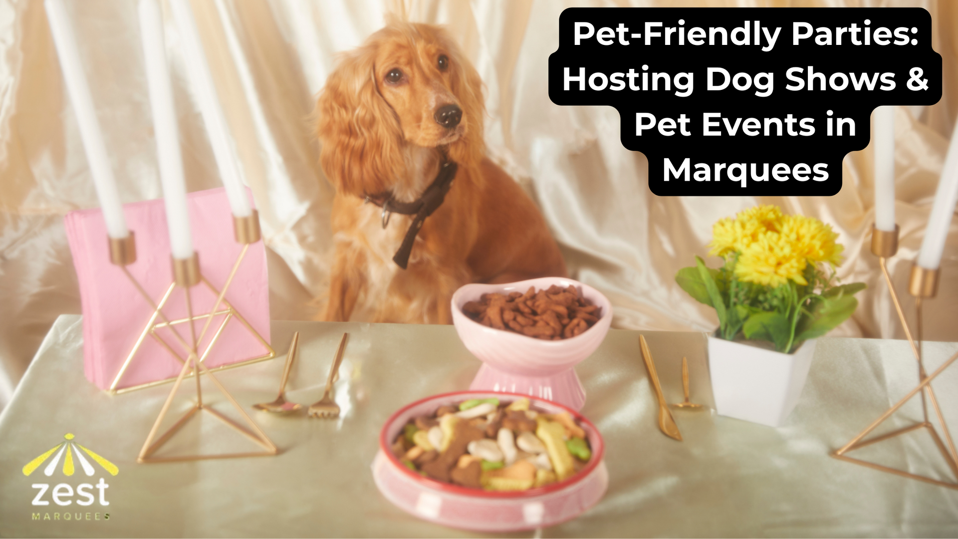 A dog is sitting next to a bowl of food on a table.