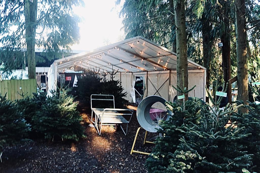 A white tent is in the middle of a forest