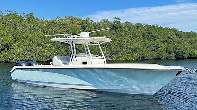 Light blue motorboat on water, with a white canopy, in front of a green tree line.