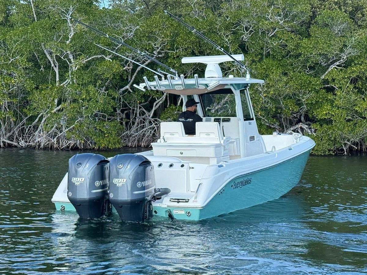White and teal motorboat with two outboard motors, in water near greenery.