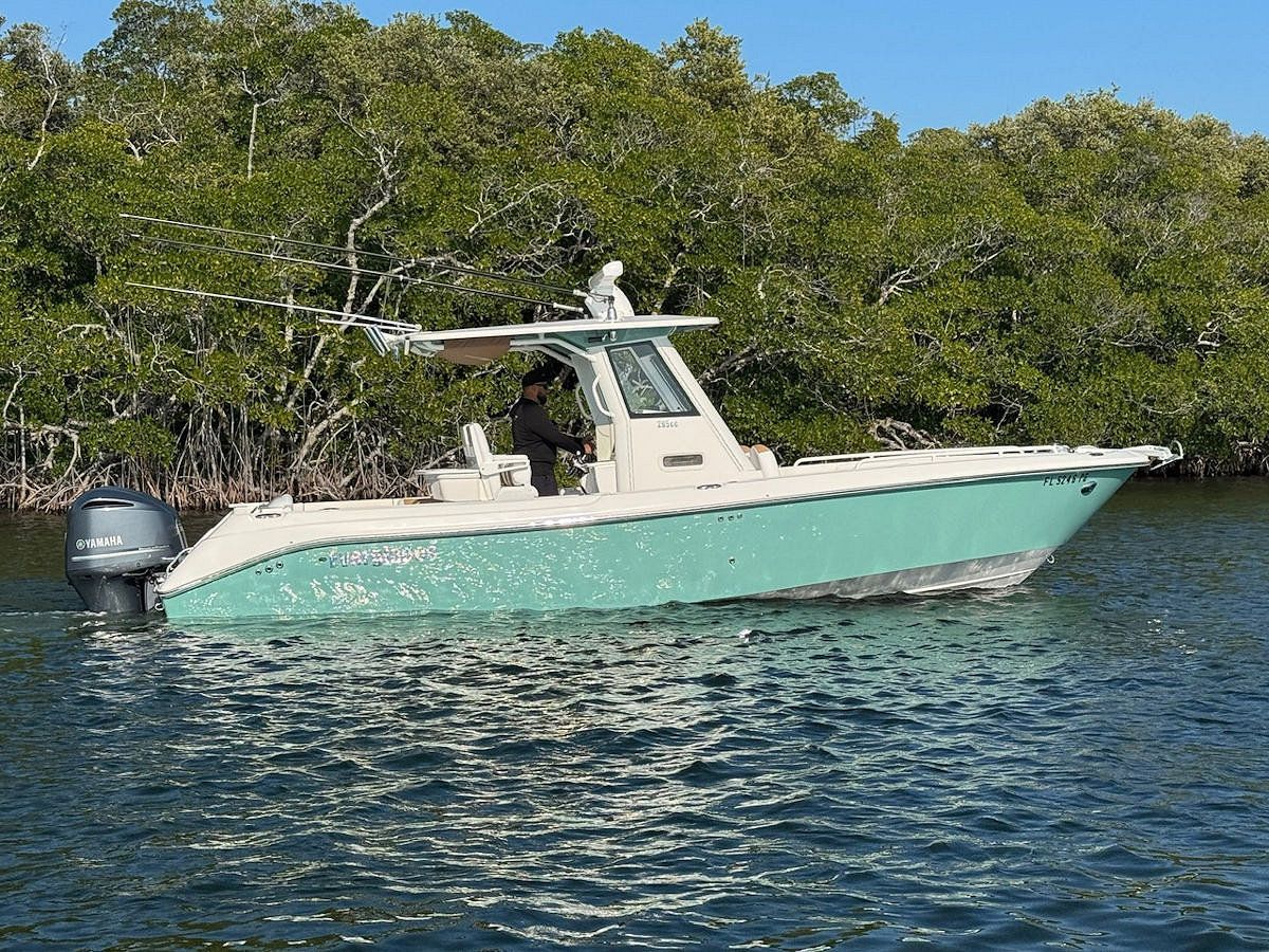 A teal and white motorboat floats in water near a green shoreline.