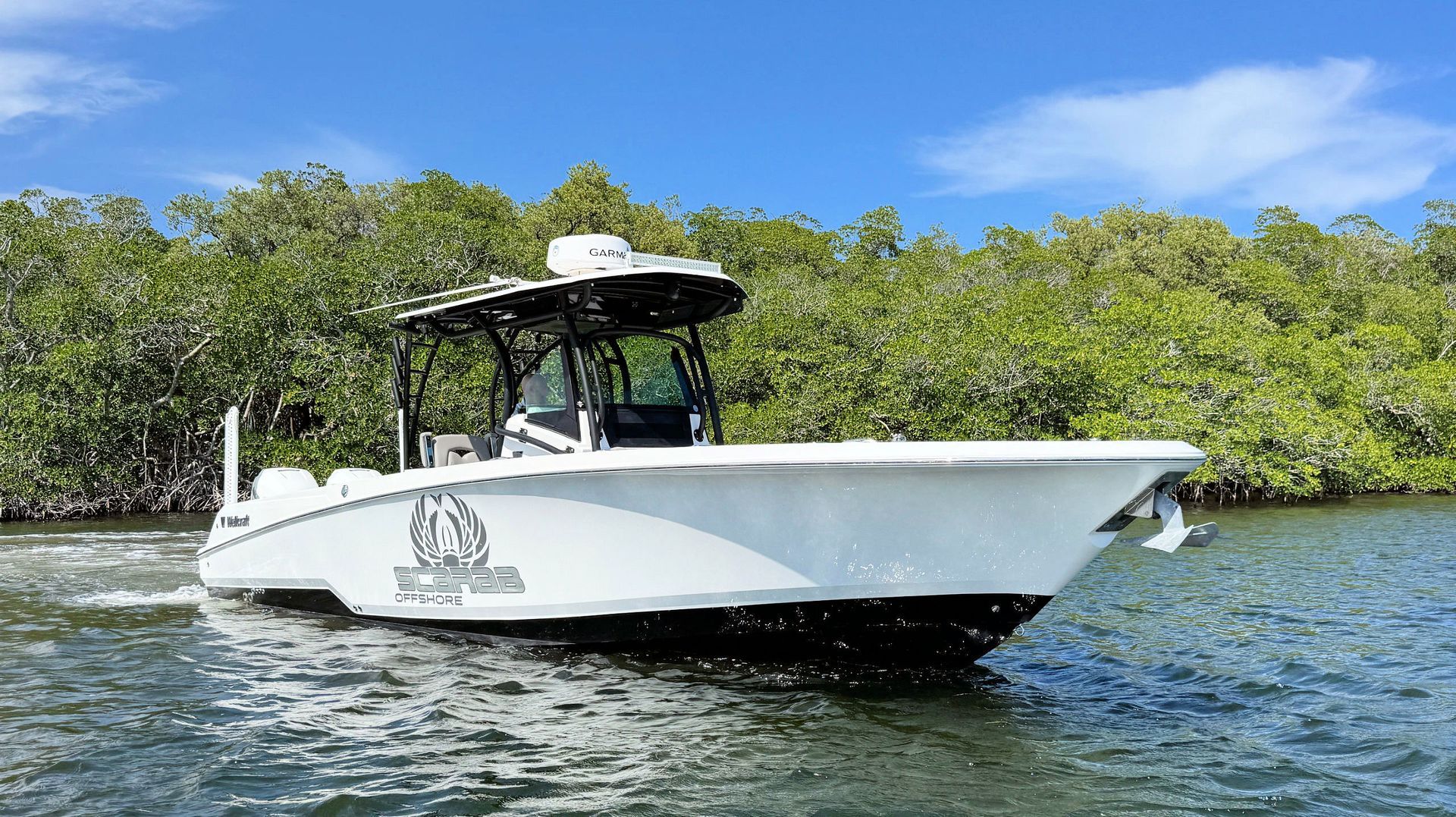White fishing boat on calm water beside mangrove shoreline under a blue sky