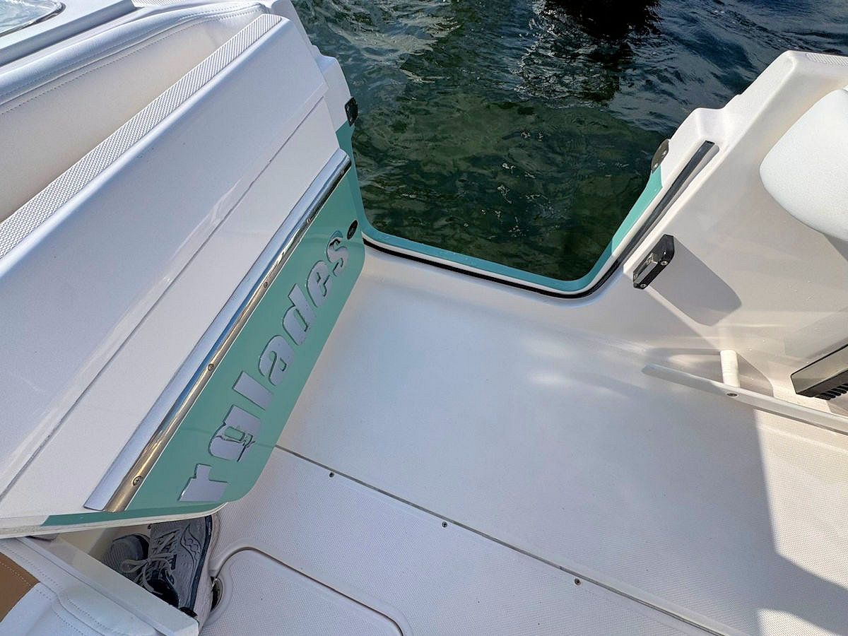 Cockpit with portside dive door