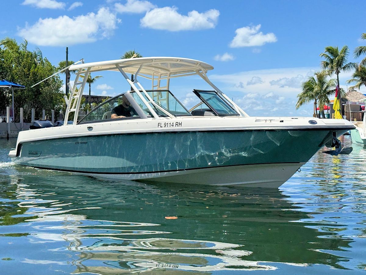 Boat on turquoise water, white canopy, blue-green hull, sunny day, palm trees in the background.
