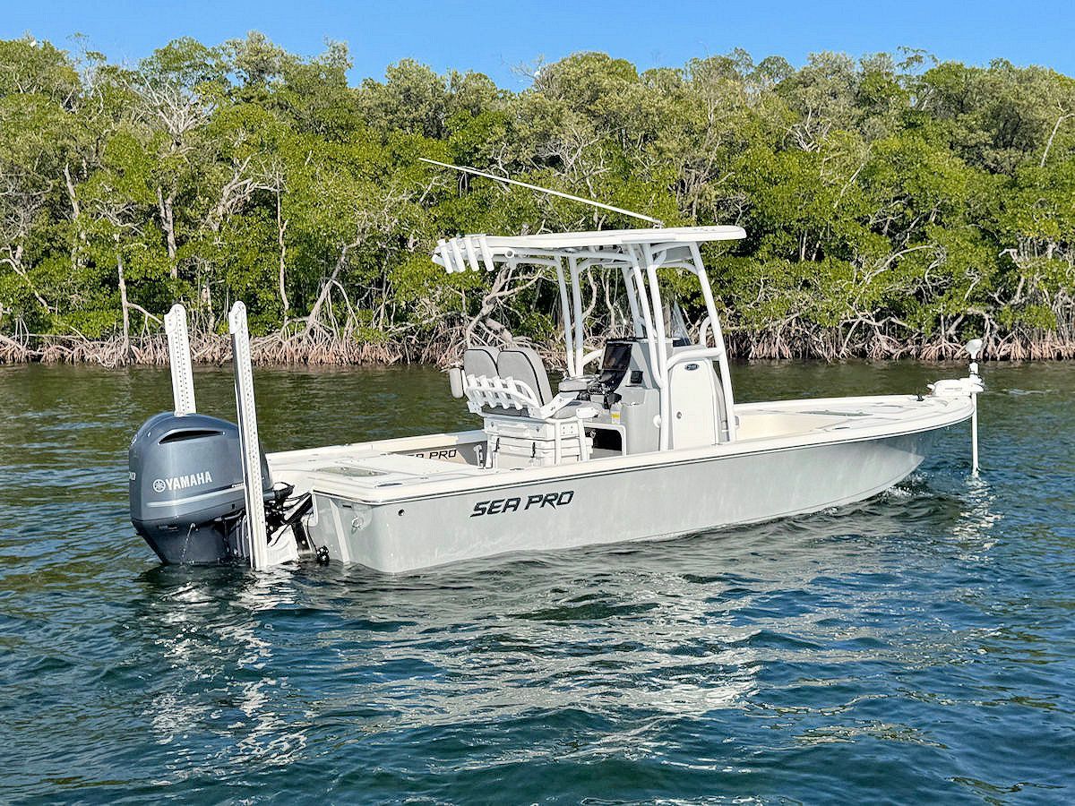 A gray motorboat on water, with a mangrove forest in the background.